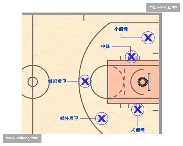 全方位NBA观赛指南从入门到高手必知的赛事、战术与球员解析